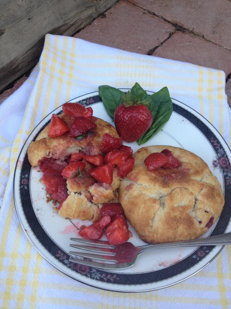 Strawberry Basil Tart-Pouches