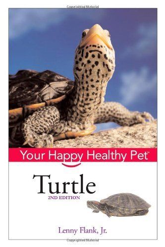  photo turtle_happy_healthy_pet_zpsig2lpuqj.jpg