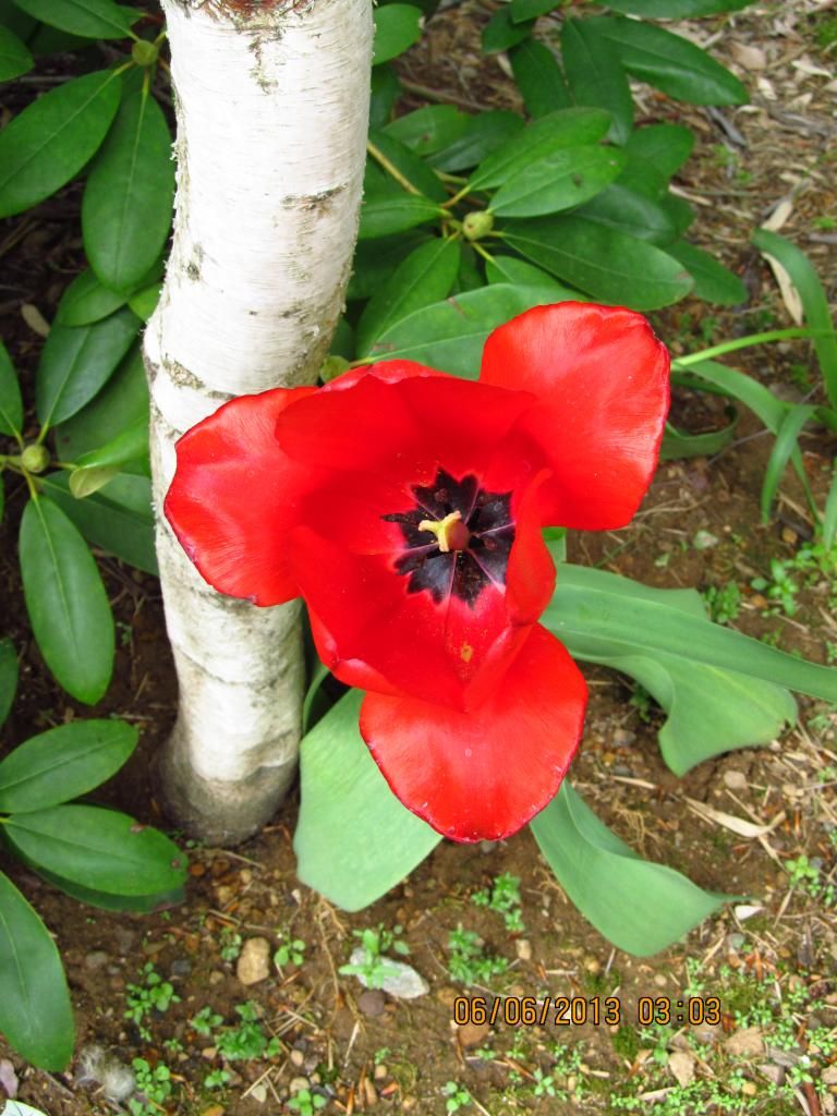 004_zps939c7367.jpg