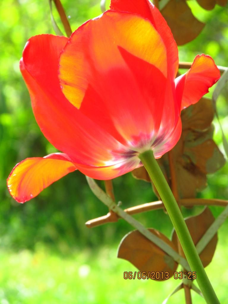 010_zpsc0c80f21.jpg