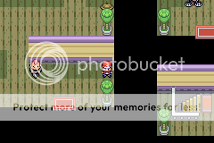 Pokémon Normal (Build 3.0 RC 2.73 Live Update)