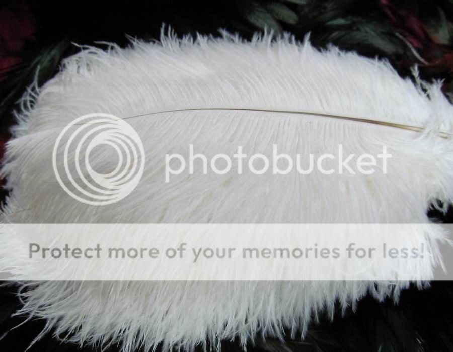 10pcs white color high quality natural ostrich feathers 6-8inch